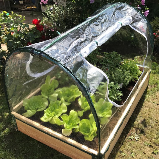 Best greenhouse for your budget